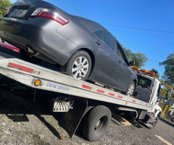 WhatsApp Image 2025-12-23 at 10.53.18 PM (3)