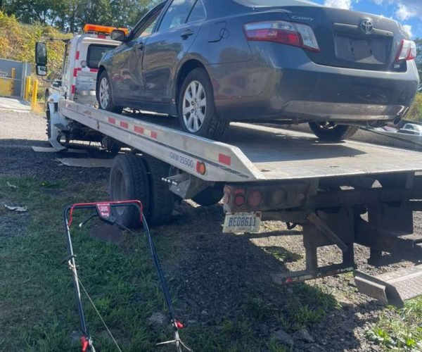 WhatsApp Image 2025-12-23 at 10.53.18 PM (4)